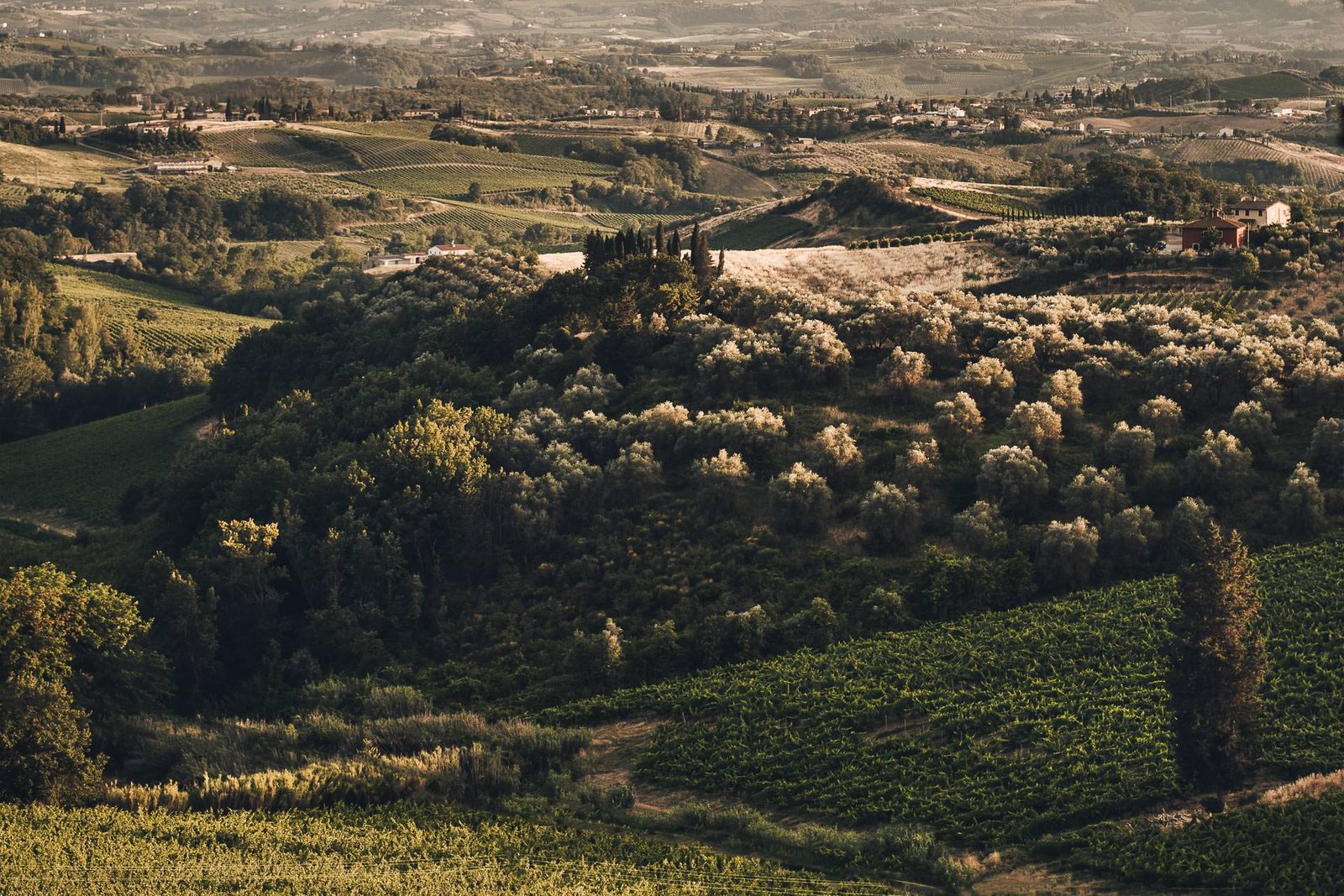 View from Villa Il Pozzo