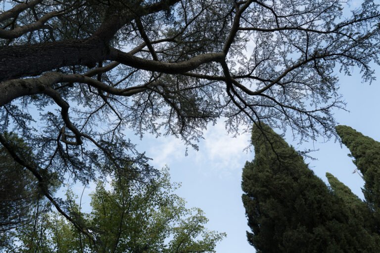 MATRIMONIO AL CASTELLO IL PALAGIO